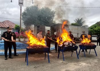 Bawa Virus, Bawang dan Pakaian Bekas Dimusnahkan di Aceh 