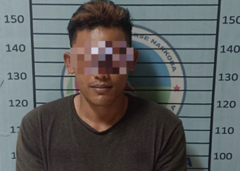 Bawa 14 Paket Sabu, Pria di Aceh Tenggara Ditangkap Polisi