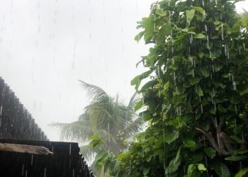 BMKG Prediksi Hujan dan Angin Kencang di Aceh Tiga Hari Kedepan